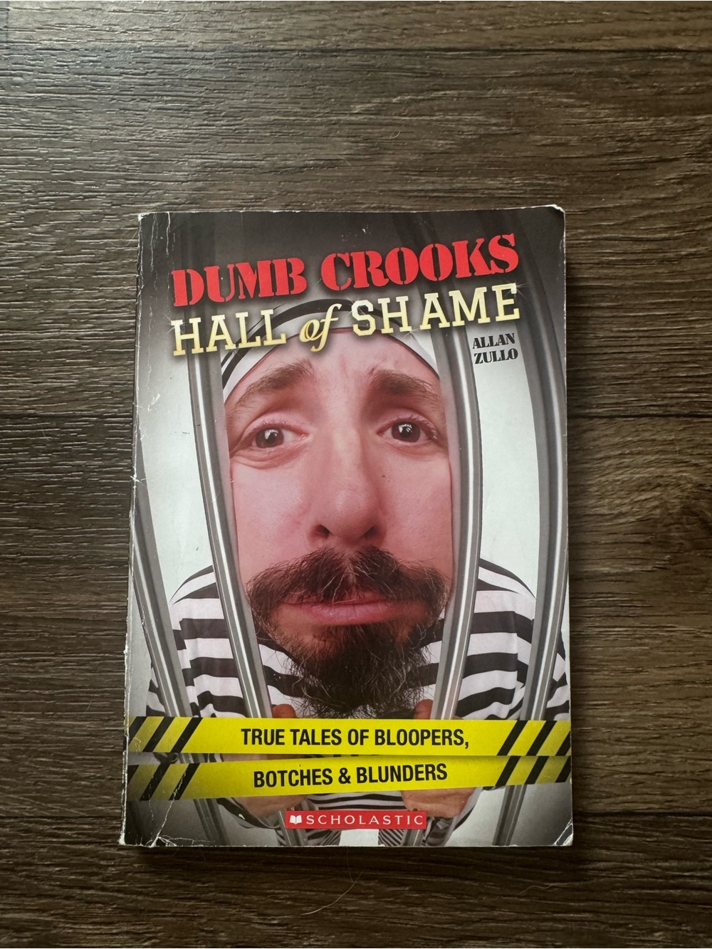 Scholastic Dumb Crooks Hall of Shame Paperback Book